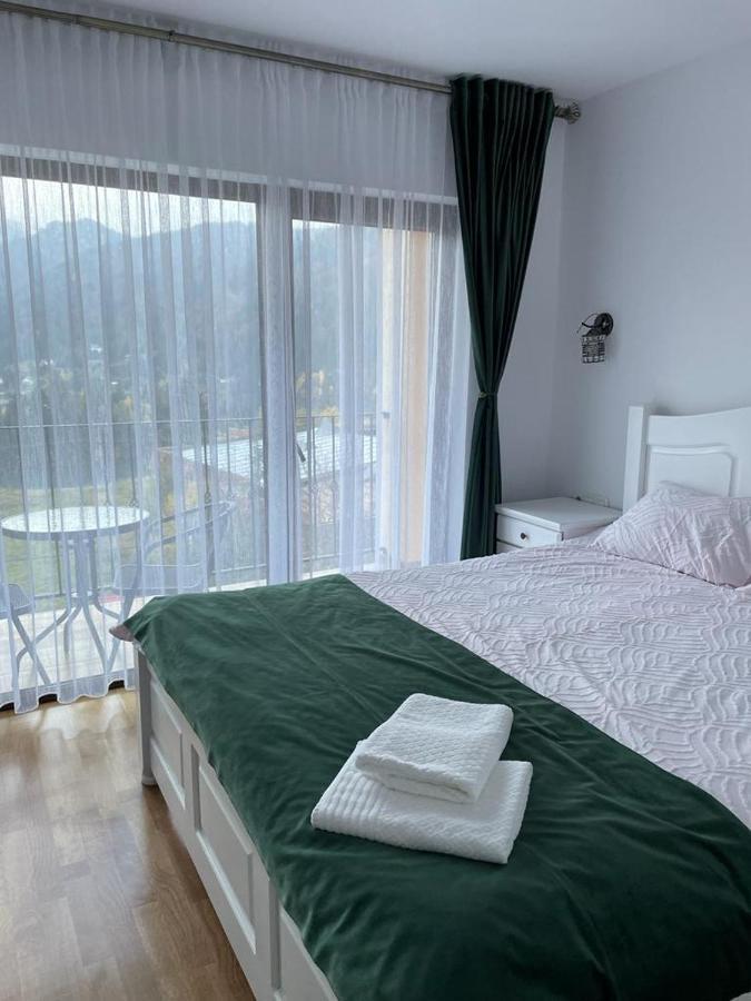 Silver Mountain Villa Colibita Luaran gambar